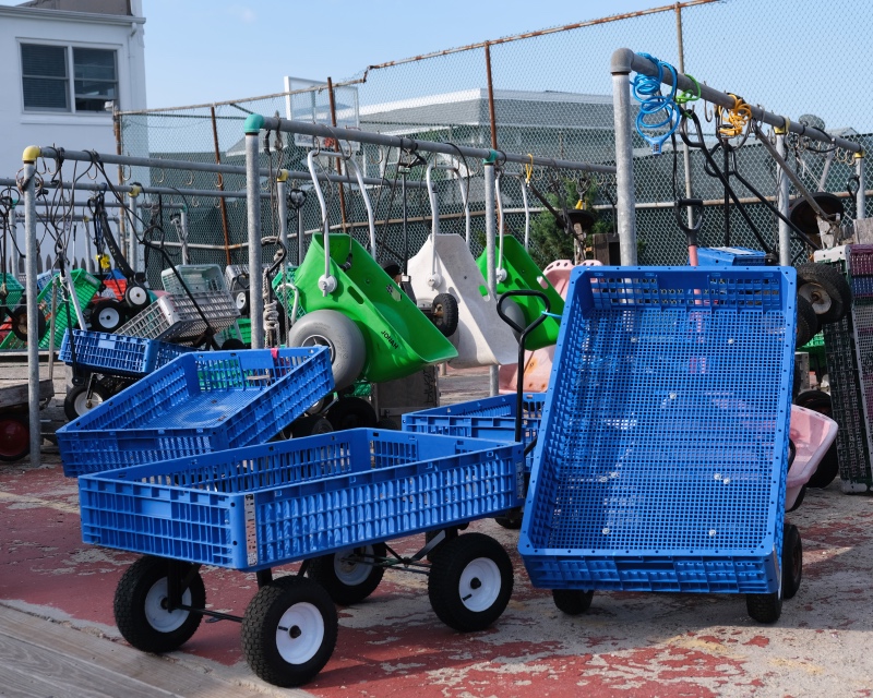 Carts that are used on Fire Island to transport bags and goods from ships.