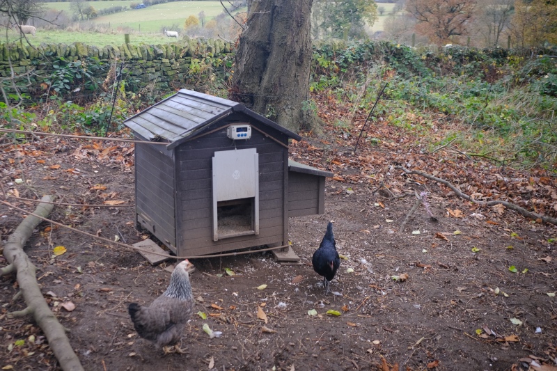 A chicken coup with a smart door, that closes when the sun sets, thus protecting the chickens from foxes and badgers.