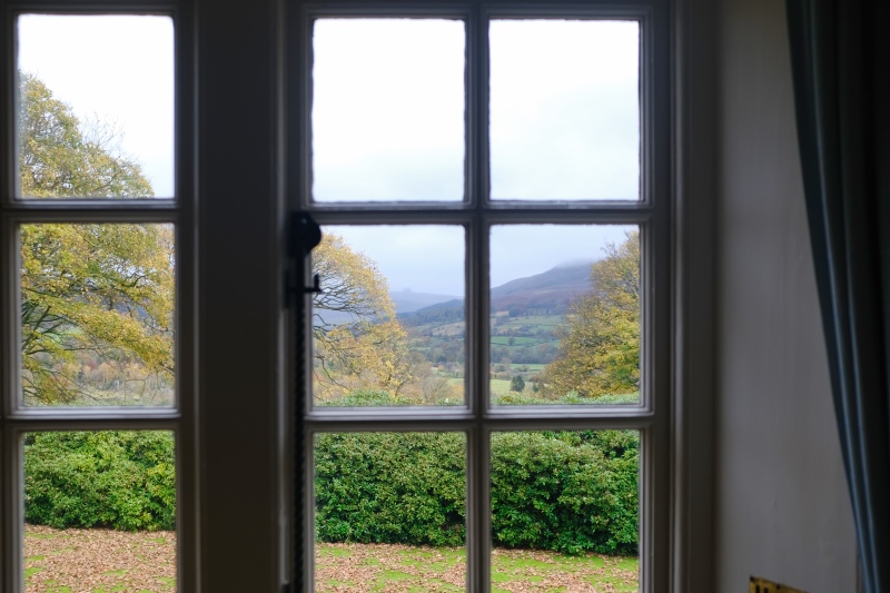 Looking at bushes outside of a window.