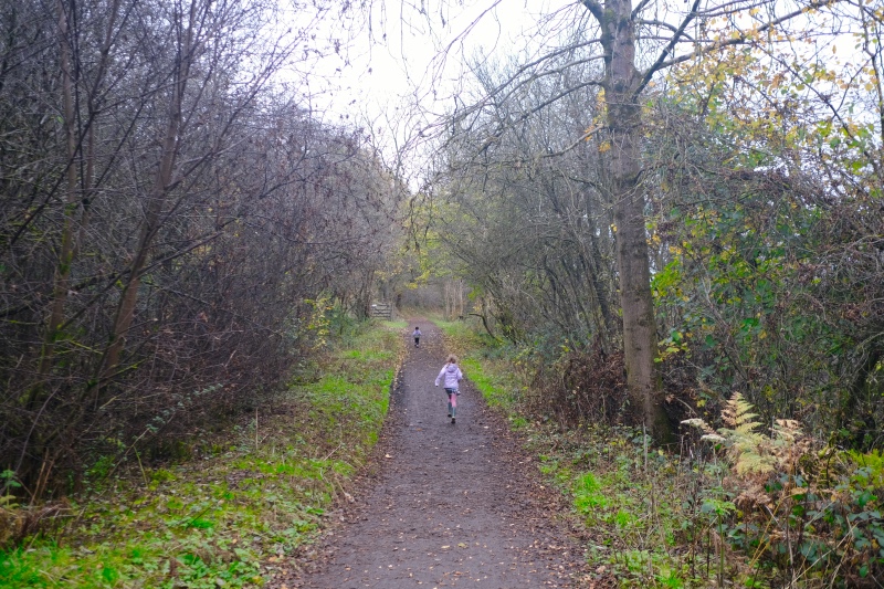 Walking along a path in the middle for the a forrest located in the Hope Valley, England.